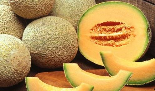 吃金香玉哈密瓜,舌尖上的甜蜜诱惑 第1张 吃金香玉哈密瓜,舌尖上的甜蜜诱惑 第1张
